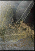 Moody deja oro real Póster
